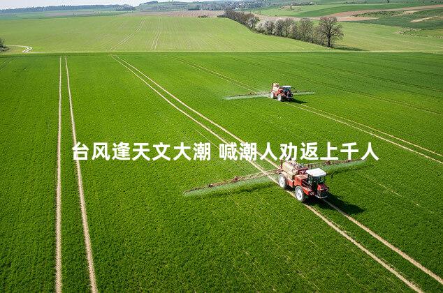 台风逢天文大潮 喊潮人劝返上千人